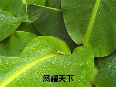 《凤耀天下》无弹窗大结局-（慕惊眠）无弹窗阅读最新章节列表_笔趣阁