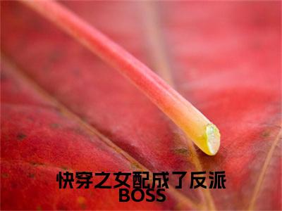 苏九陆临轩（快穿之女配成了反派BOSS）全文免费阅读无弹窗大结局_快穿之女配成了反派BOSS最新章节列表笔趣阁