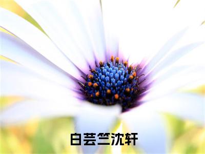 白芸竺沈轩小说全文免费阅读_沈轩白芸竺（沈轩白芸竺）最新章节列表笔趣阁