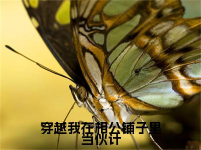 穿越我在相公铺子里当伙计（祝景澜黄之桐）全文免费阅读无弹窗大结局_穿越我在相公铺子里当伙计全文大结局最新章节列表_笔趣阁