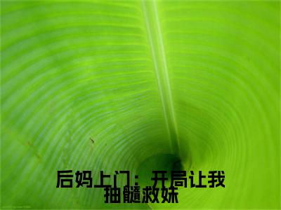 林菀txt（后妈上门：开局让我抽髓救妹）全文免费阅读无弹窗大结局_林菀最新章节列表_笔趣阁（后妈上门：开局让我抽髓救妹）