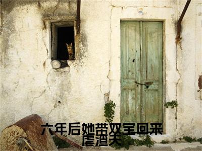 六年后她带双宝回来虐渣夫（姜星宁霍寒爵）小说免费下载全本-六年后她带双宝回来虐渣夫（姜星宁霍寒爵完整版）免费阅读大结局