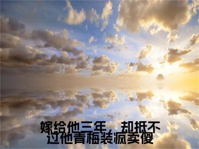 嫁给他三年，却抵不过他青梅装疯卖傻小说全文（许容辞程璃）精选免费小说_嫁给他三年，却抵不过他青梅装疯卖傻小说全文最新章节列表