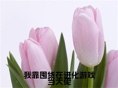 高赞小说我靠囤货在进化游戏当大佬（莫伊）完结阅读_莫伊我靠囤货在进化游戏当大佬免费看全文