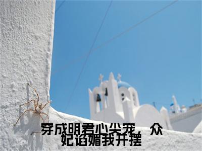 穿成明君心尖宠，众妃谄媚我开摆（赵无眠英琼楼）小说全文免费阅读无弹窗-穿成明君心尖宠，众妃谄媚我开摆小说全文免费阅读大结局笔趣阁