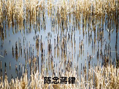 陈念蒋律（陈念蒋律全章节完整版）免费阅读_（陈念蒋律）陈念蒋律全文无删减免费阅读