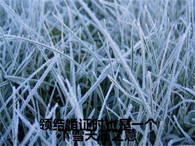 盛南琛林之意小说（领结婚证时也是一个下雪天林之意）全文免费阅读无弹窗大结局_领结婚证时也是一个下雪天林之意小说最新章节列表_笔趣阁（盛南琛林之意）