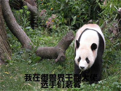 我在御兽界干翻大佬选手们裴雾小说（裴雾）全文免费阅读无弹窗_我在御兽界干翻大佬选手们裴雾小说全文免费阅读）裴雾最新章节列表笔趣阁