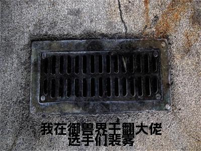 我在御兽界干翻大佬选手们裴雾小说全文-裴雾无弹窗免费阅读