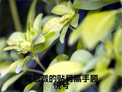 林辰顾悦兮（女总裁的贴身高手顾悦兮）全文免费阅读无弹窗大结局_林辰顾悦兮最新章节列表