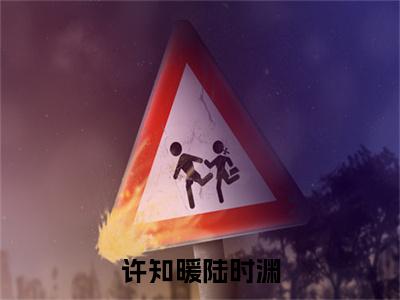 许知暖陆时渊小说主角叫什么许知暖陆时渊全文免费阅读大结局