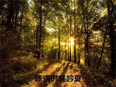 陈遇时林吟夏小说陈遇时林吟夏完整版大结局-陈遇时林吟夏小说完结版在线阅读