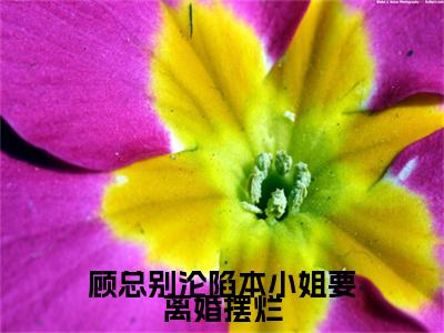 顾总别沦陷本小姐要离婚摆烂（盛诗音）全文无删减版在线阅读_顾总别沦陷本小姐要离婚摆烂全文免费阅读最新章节列表_笔趣阁