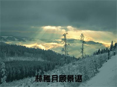 顾景谌林稚月（林稚月顾景谌）全文免费阅读无弹窗大结局_顾景谌林稚月最新章节列表_笔趣阁（林稚月顾景谌）