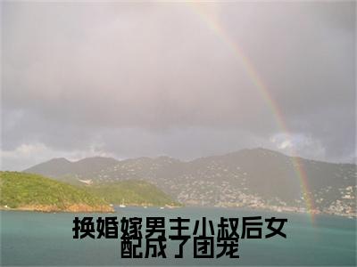 江岫白陆辞年（换婚嫁男主小叔后女配成了团宠最新全章节大结局）全文阅读-江岫白陆辞年换婚嫁男主小叔后女配成了团宠在线小说免费阅读