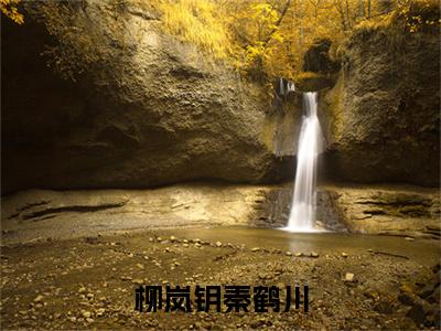 【热门】《柳岚钥秦鹤川》书名是秦鹤川柳岚钥全文免费阅读已完结