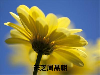 宋芝周燕朝全文免费阅读大结局-宋芝周燕朝结局免费阅读