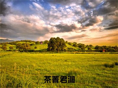 茶菁君渊（茶菁君渊）全文免费在线阅读_茶菁君渊全文阅读_笔趣阁（茶菁君渊）