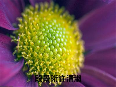 （番外）+（全文）段景珩许清淑（许清淑段景珩）精彩小说-小说许清淑段景珩全文无删减版免费阅读