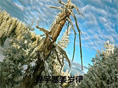 程宇寒姜岁伊（姜岁伊程宇寒）小说免费阅读完结版-程宇寒姜岁伊小说全文免费阅读（姜岁伊程宇寒后续+全集）