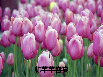 林芊芊容宴（容宴林芊芊）多人追免费无弹窗小说-主角容宴林芊芊完整版在线阅读（林芊芊容宴）