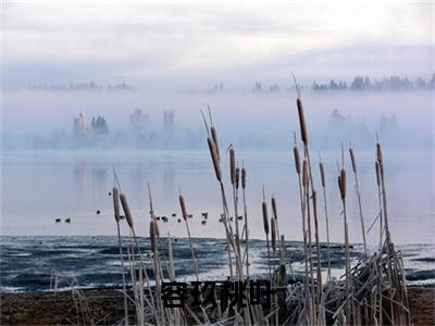 容玖桃叶（容玖桃叶）全文免费阅读无弹窗大结局_容玖桃叶最新章节列表_笔趣阁（容玖桃叶）