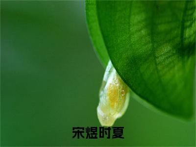 宋煜时夏（宋煜时夏）全文免费大结局，宋煜时夏结局在线阅读