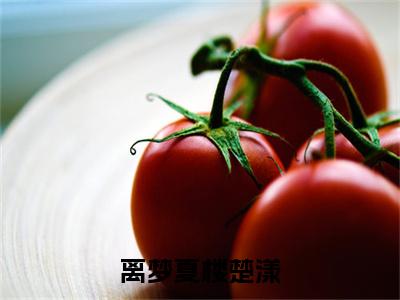 （楼楚漾离梦夏）离梦夏楼楚漾全文免费阅读无弹窗_（离梦夏楼楚漾小说免费阅读）最新章节列表笔趣阁