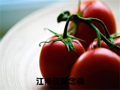 江景琛夏念薇（夏念薇江景琛）完结版小说-江景琛夏念薇小说全文免费阅读笔趣阁