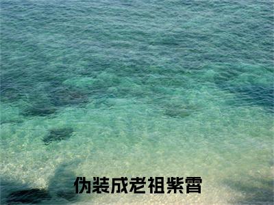 林玄清紫霄（伪装成老祖紫霄）全文免费阅读无弹窗-伪装成老祖紫霄完整版全文在线赏析