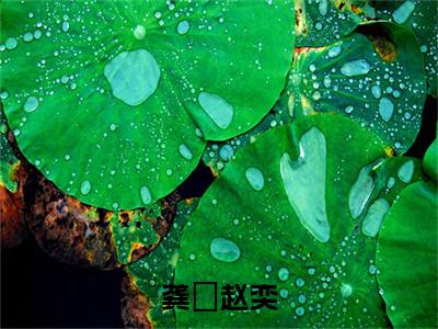 赵奕龚玥（龚玥赵奕）全文免费阅读无弹窗大结局_（龚玥赵奕无弹窗）全文完整版免费阅读