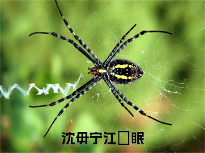 沈毋宁江沨眠（沈毋宁江沨眠）全文免费阅读无弹窗大结局_（沈毋宁江沨眠免费阅读）沈毋宁江沨眠无弹窗最新章节列表