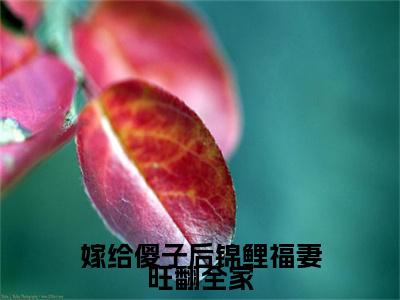 崔雨露全文免费阅读无弹窗大结局_（崔雨露）最新章节列表笔趣阁（嫁给傻子后锦鲤福妻旺翻全家）