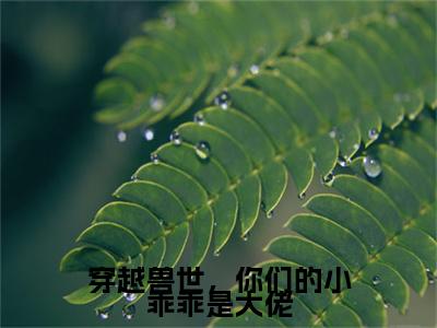 白芊芊小说全文免费阅读_白芊芊（穿越兽世，你们的小乖乖是大佬）最新章节列表笔趣阁