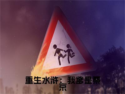 重生水浒：我爹是蔡京（蔡鞗小说）最新在线阅读_蔡鞗小说免费阅读