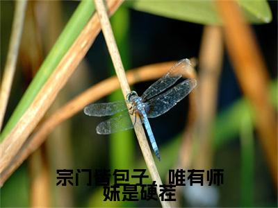 宗门皆包子，唯有师妹是硬茬小说（关颜）全文免费阅读结局-宗门皆包子，唯有师妹是硬茬强推全文阅读无弹窗