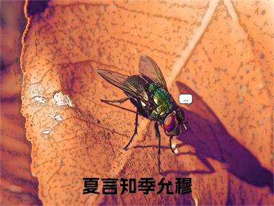 夏言知季允穆全文免费阅读_（季允穆夏言知免费阅读无弹窗）夏言知季允穆最新章节列表笔趣阁