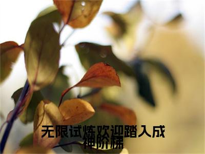 小说《无限试炼欢迎踏入成神阶梯》全文免费阅读无弹窗-洛烟小说全文在线赏析