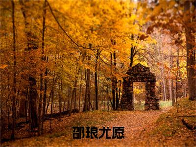 邵琅尤愿（尤愿邵琅）全文免费阅读无弹窗大结局_（尤愿邵琅在线阅读）最新章节列表笔趣阁（尤愿邵琅）