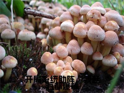 开局系统助阵，我赶海都爆桶小说全文-赵勤阿和无弹窗免费阅读