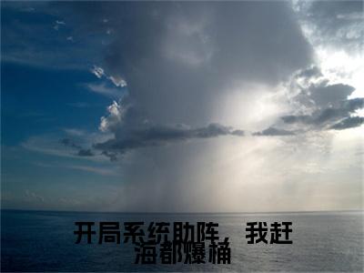 开局系统助阵，我赶海都爆桶小说赵勤阿和无弹窗免费阅读-最新小说开局系统助阵，我赶海都爆桶（赵勤阿和）全文阅读