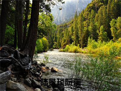 陆景琰阮溪（阮溪陆景琰）全文免费阅读_（阮溪陆景琰）最新章节小说免费阅读（陆景琰阮溪）