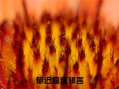 郁迟霜沈知言（沈知言郁迟霜）全文免费阅读无弹窗_沈知言郁迟霜最新小说_笔趣阁