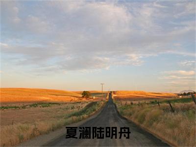 主角是夏澜陆明舟的小说全文免费阅读无弹窗大结局-《夏澜陆明舟》完整章节阅读