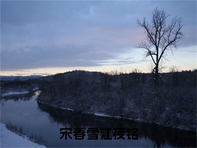 宋春雪江夜铭（江夜铭宋春雪）全文免费阅读无弹窗_宋春雪江夜铭:江夜铭宋春雪最新小说_笔趣阁