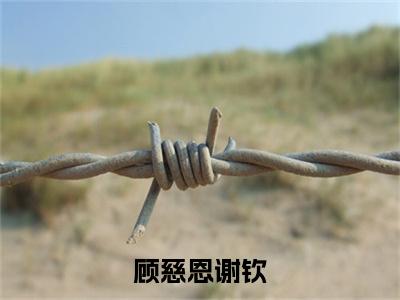 小说《顾慈恩谢钦》全文免费阅读无弹窗-顾慈恩谢钦小说全文在线赏析_笔趣阁