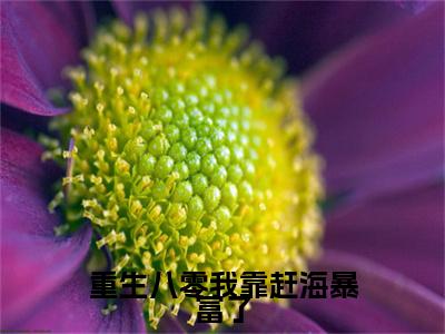 程小芸小说（重生八零我靠赶海暴富了）全文免费阅读-程小芸精彩章节在线阅读