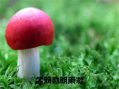 孟润勋明雨凝（明雨凝孟润勋）全文免费大结局小说-孟润勋明雨凝全文最新章节阅读