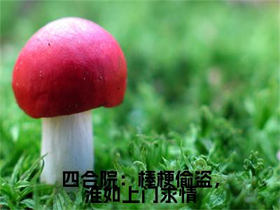 四合院：棒梗偷盗，淮如上门求情（秦淮如叶长歌）小说全文免费阅读无弹窗大结局_秦淮如叶长歌全文免费阅读