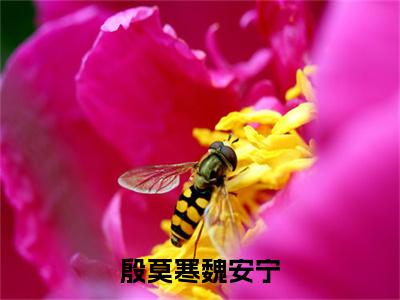 魏安宁殷莫寒（殷莫寒魏安宁最新全章节大结局）全文阅读-魏安宁殷莫寒殷莫寒魏安宁在线小说免费阅读